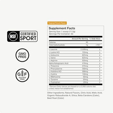 Momentous Vital Aminos Powder Supplement 30 Servings