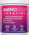 Rsp Nutrition Aminolean Creatine For Women And Men Pure Micronized Creatine Monohydrate Powder Supplement For Muscle Toning Mood Support Energy Boost And Brain Health 300G