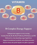 Buried Treasure B Complete 16 Fl Oz All 8 B Vitamins With Methylated B12 & Methylfolate Biotin B1 B2 B6 Antioxidant Support Liquid & Sugar B Complex Vitamins For Women & Men.