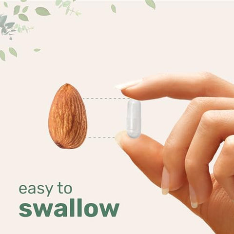 Micro Ingredients 12 Ina A' A 1 Magnesium Complex 1000 Mg 240 Capsules Magnesium Glycinate Citrate Taurate Malate and More High Absorption Formula For Men and Women Chelated and Purified