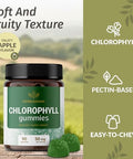 Herbamama Chlorophyll Detox Gummies - 50Mg Sodium Copper Chlorophyllin Internal Deodorant For Body Odor Support - Vegan Non-Gmo Antioxidant Supplement - 90 Pectin-Based Apple-Flavored Chews
