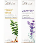 Gya Labs Frankincense & Lavender Roll On Set - Essential Oils Aromatherapy Roll On With Essential Oil Set - 2X0.34 Fl Oz - Gya Labs