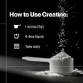 Momentous Creatine Monohydrate Powder 5g per Serving Unflavored | Supports Lean Muscle Strength Recovery and Cognitive Function NSF Certified for Sport Non-GMO and Gluten-Free (90 Servings)