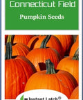 Connecticut Field Pumpkin Seeds | Non-GMO | Heirloom | Instant Latch Fresh Garden Seeds, Orange | NON GMO, Heirloom Seeds, Instant Latch Fresh Garden Seed