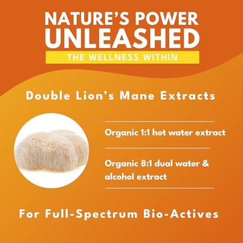 Bold Botanica LionS Mane Mushroom Capsules - 100% Fruiting Body Concentrated Organic LionS Mane Extracts Nootropic Brain Health Memory Mood Immune Support 60 Vegan Capsules