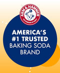 Arm & Hammer 33200-84104 Baking Soda, 16 oz (Pack of 24)
