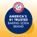 Arm & Hammer 33200-84104 Baking Soda, 16 oz (Pack of 24)