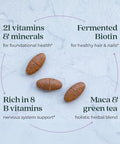 Chapter Energy Supplement - Perfect Energy Multivitamin For Balanced Energy + Stress Support With B Vitamins + Vitamin D3 + Organic Non-Gmo Ingredients - 96 Ct