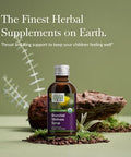 Gaia Herbs Gaiakids Bronchial Wellness Syrup Immune Health Soothing Throat And Respiratory Support Organic Honey Lemon Flavor Physician Formulated 3 Fluid Ounces