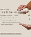 Stonehenge Health Dynamic Liver Siliphos Milk Thistle Formula Liver Support & Antioxidant Support Gut-Liver Axis Selenium Zinc Vitamin E Ginger Beetroot Extract Non-Gmo 60 Veg Caps