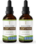 Secrets of the Tribe Lion s Mane Tincture Alcohol Extract, High-Potency Herbal Drops, Tincture Made from Lion's Mane (Hericium erinaceus) Dried Mushroom 2x4 oz