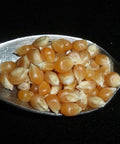 Yellow Popcorn Popping Corn, 5 Pounds Kernels, USDA Certified Organic, Non-GMO Bulk, Product of USA, Mulberry Lane Farms