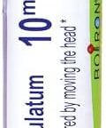 Boiron Conium Maculatum 10M For Dizziness Triggered By Moving The Head 80 Pellets
