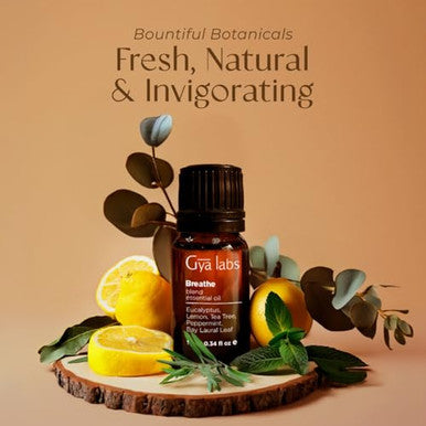 Gya Labs Breathe Essential Oil Blends - 100 Pure Natural Breathe Easy Essential Oils From Eucalyptus Peppermint And More For Humidifier Cleaner (0.34 Fl Oz)