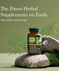 Gaia Herbs Green Tea Helps Maintain Healthy Weight And Energy Levels With Organic Green Tea Leaf And Extract 60 Vegan Liquid Phytocapsules (15Day Supply)
