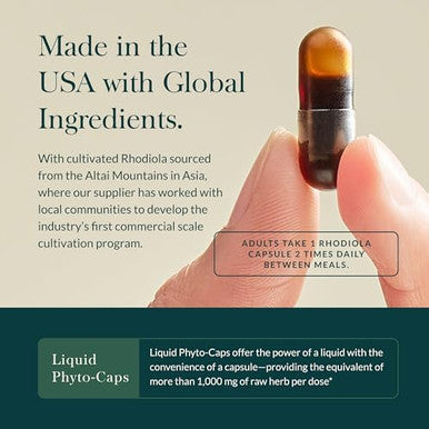 Gaia Herbs Rhodiola Rosea Stress Support Supplement Traditionally For Supporting Healthy Stamina And Endurance 120 Vegan Liquid Phytocapsules (60Day Supply)