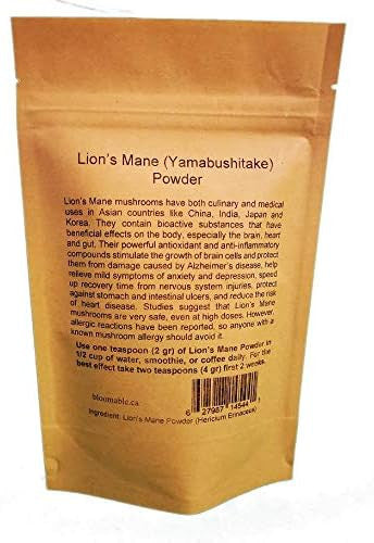 Lion's Mane Mushroom Powder by Bloomable I Brain Health, Memory, Focus (100 gr)