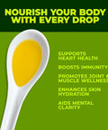 Polyphenol Rich Olive Oil Extra Virgin by Zest Delites, Up To 770 mg/kg High Polyphenol Olive Oil, Cold Pressed EVOO, Heart & Immunity Support, Single Origin, Gold Award, New Harvest, 16.9 fl oz