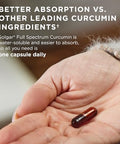 Solgar Full Spectrum Curcumin - 60 Licaps Pack Of 2 - Superior Absorption - Brain Joint & Immune Health - Non-Gmo Vegan Gluten Free Dairy Free 120 Total Servings