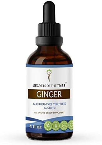 Secrets of the Tribe Ginger Tincture Alcohol-Free Extract, Ginger (Zingiber officinale) Dried Root 4 OZ