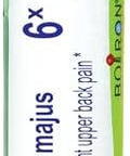 Boiron Chelidonium Majus 6X For Nausea With Upper Back Pain 80 Pellets