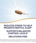 Nature'S Way Sleep Tonight Stress-Reducing Formula To Promote Restful Nights Melatonin Free Sleep Support With Ashwagandha And L-Theanine Vegan 28 Tablets (Packaging May Vary)