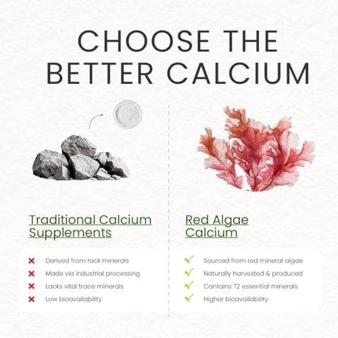 Bone and Nerve Complex Aquamin Calcium Aquamin Magnesium Magnesium Glycinate LTheanine Vitamin K2 Vitamin D3 Bone Health Nerve Function Stress Relief Cardiovascular Health Vegan 90 Servings