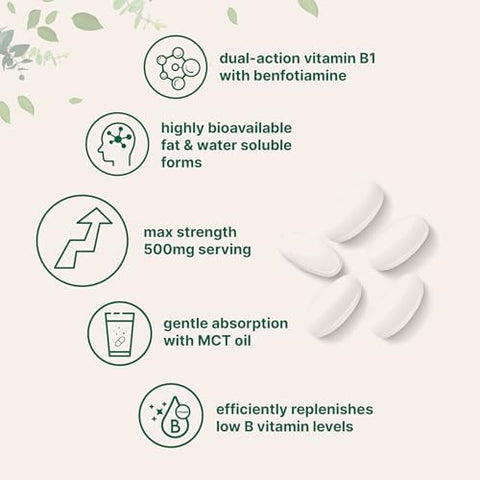 Micro Ingredients Vitamin B1 Thiamine 500Mg With Benfotiamine and Mct Oil 240 Softgels Highly Bioavailable Thiamine Supplement For Energy and Nervous System Support NonGmo Soy