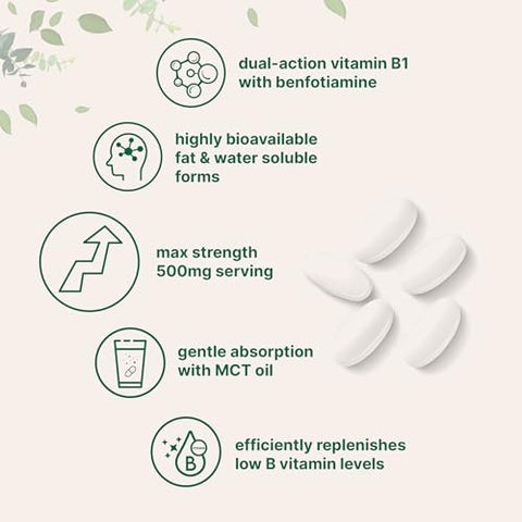 Micro Ingredients Vitamin B1 Thiamine 500Mg With Benfotiamine & Mct Oil 240 Softgels Highly Bioavailable Thiamine Supplement For Energy & Nervous System Support Non-Gmo Soy Free