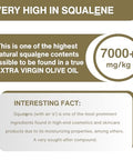 P.J. KABOS 2025/26 Fresh Harvest, Extremely High Phenolic (900+ mg/kg), USDA Organic Greek Extra Virgin Olive Oil, Kosher, Cold Extracted, 16.9oz Glass Bottle, PJ KABOS ÃƒÂ¢Ã¢â€šÂ¬Ã…â€œFamily Reserve Organic - Phenolic ShotÃƒÂ¢Ã¢â€šÂ¬Ã‚Â
