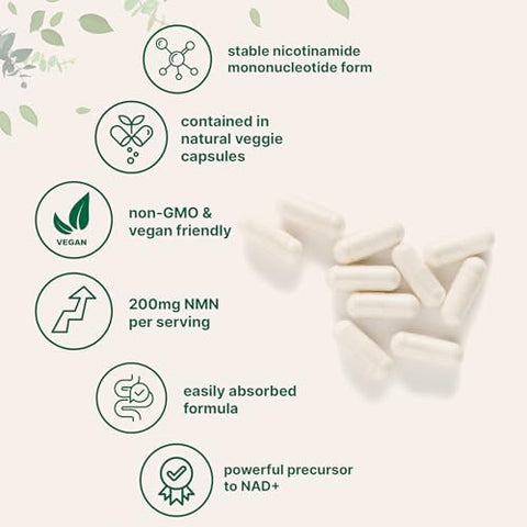 Micro Ingredients Nmn 200Mg Per Serving 120 Veggie Capsules 60 Servings Easily Absorbed Nicotinamide Mononucleotide Form Nad+ Precursor and Nr Supplement Alternative NonGmo Vegan