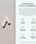 VTC VitaTradingCo. Zinc Picolinate 50mg Elemental Zinc Highly Absorbable Immune and Antioxidant Support for Skin Health and Cellular Function 60 Veggie Capsules