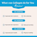 Dr. Matthew Marine Collagen Peptides Powder From Hydrolyzed Wild Caught Fish Protein - Hair & Beauty Supplements For Women & Men