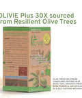 Organic High Polyphenol Rich Extra Virgin Olive Oil OLIVIE PLUS 30X | Moroccan Desert Olive Oil | EVOO | Organic, Kosher | 250 ml Glass Bottle