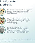 Metagenics PhytoMulti with Iron Daily Multivitamin for Men and Women with Phytonutrients* Methylfolate Vitamins A K Zinc and B6 Iron Bisglycinate 18 mg Non GMO Gluten Free 60 Tablets