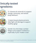 Metagenics Phytomulti With Iron 60 Tablets 18 Mg