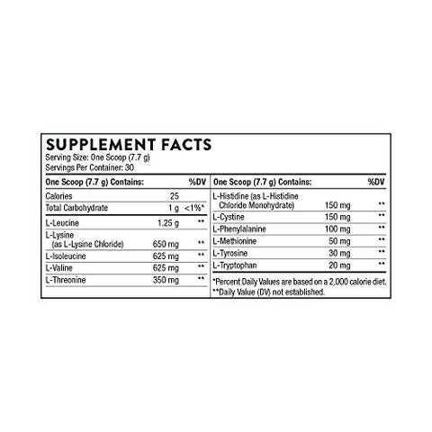 Thorne - Performance Essentials Bundle Creatine & Amino Power Pack - Muscular Support Energy Boost And Cognitive Function - Nsf Certified - 30 To 90 Servings