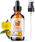 Bella Terra Oils - Organic Evening Primrose Oil 2Oz - Celebrating Primrose'S Nutrient Legacy Infused With Vitamin E & Omega-6 Superior Oil Experience For The Skin