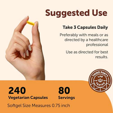 Micro Ingredients Berberine Hcl With Ceylon Cinnamon 1500 Mg Per Serving 240 Vegetarian Capsules Berberine Supplement With Ceylon Cinnamon & Chromium Non-Gmo