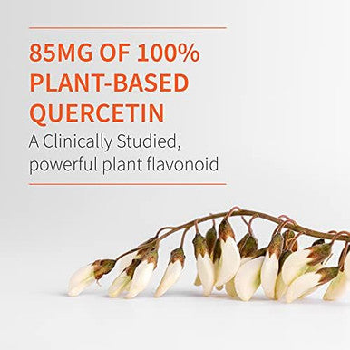 Garden Of Life Quercetin Zinc Once Daily Immune Support Supplement With Vitamin D3 For Bone Health, Breast Health & Skin Health, Dr Formulated - Gluten Free, Non Gmo, Carbon Neutral ÃƒÂ¢Ã¢â€šÂ¬Ã¢â‚¬Å“ 30 Mini Tabs