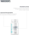 Revive Md Chasteberry Supplement For Women Chasteberry Liposomal (Vitex Agnuscastus) Supports Women'S Health Hormone Balance & Fertility (30 Tablets 30 Servings)