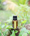 Nature's Fusions - Citronella Java Pure Essential Oil - 15mL