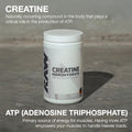 Raw Nutrition Creatine Monohydrate & Citrus Grapefruit Pre-Workout Powder Bundle