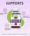 Herbion Elderberry Gummies With Vitamin C & Zinc Healthy Immune System Support Gluten & Gelatin 60 Gummies For Adults & Children 4 Years & Above Made In Usa Pack Of 4