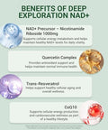 Fancyenergy Ncduyde Nad+ Supplement Liposomal Nad Nicotinamide Riboside Resveratrol 120 Capsules 1500 Mg