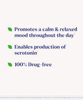 Natrol Mood Stress 5-Htp 100 Mg Dietary Supplement For A Balanced Mood Capsules For Adults 30 Capsules Up To A 30 Day Supply