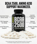 Nutrabio Bcaa 2500 Branched Chain Amino Acids Support New Muscle Growth And Prevent Muscle Breakdown 250 Capsules