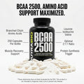 Nutrabio Bcaa 2500 Branched Chain Amino Acids Support New Muscle Growth And Prevent Muscle Breakdown 250 Capsules