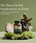 Gaia Herbs Thyroid Support Made With Ashwagandha Kelp Brown Seaweed And Schisandra To Support Healthy Metabolic Balance And Overall Wellbeing 120 Vegan Liquid Phytocapsules (40Day Supply)