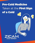 Zicam Cold Remedy Zinc Rapidmelts Citrus Flavor 25 Count (Pack Of 1)